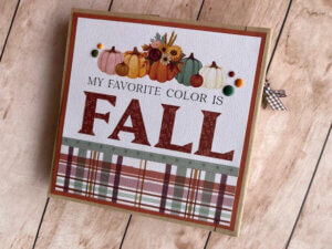 אלבום זיגזג כריכה רכה